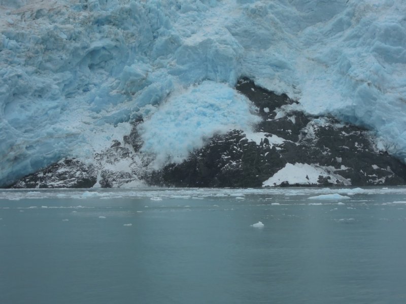 July 13, 2014 - Kenai Fjords 143.JPG