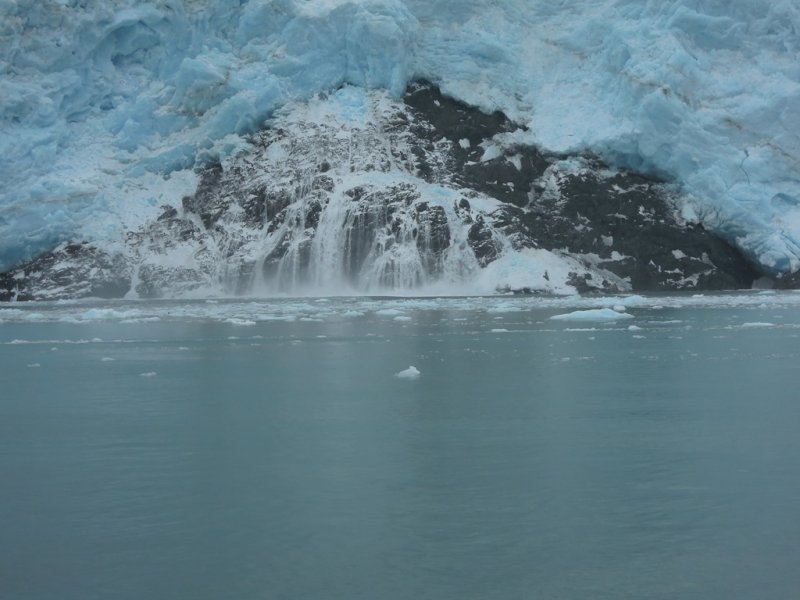 July 13, 2014 - Kenai Fjords 147.JPG