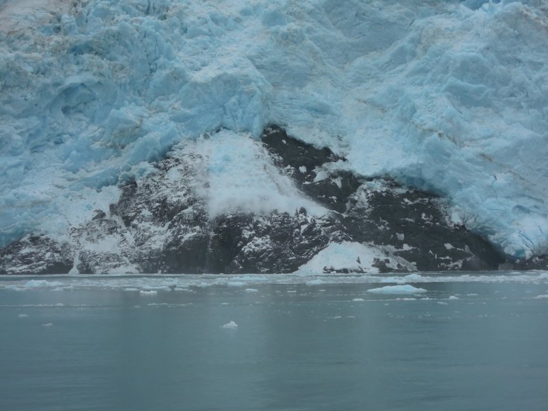 July 13, 2014 - Kenai Fjords 149.JPG