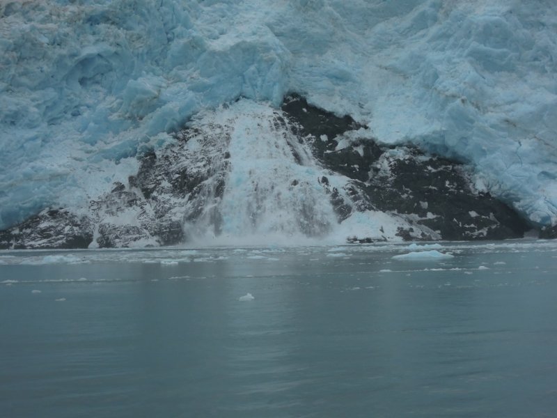 July 13, 2014 - Kenai Fjords 150.JPG