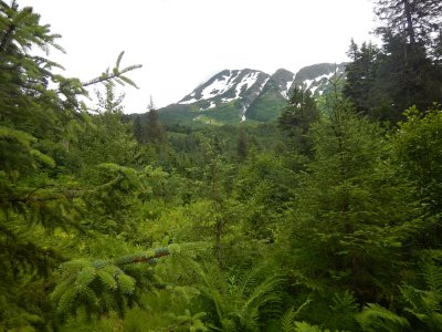 Alaska - Day 2 - PM Hike 009.JPG