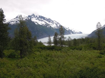 Alaska - Day 4 - Train Ride 083.JPG