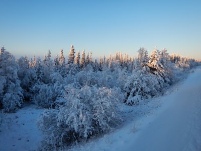 South of Nenana