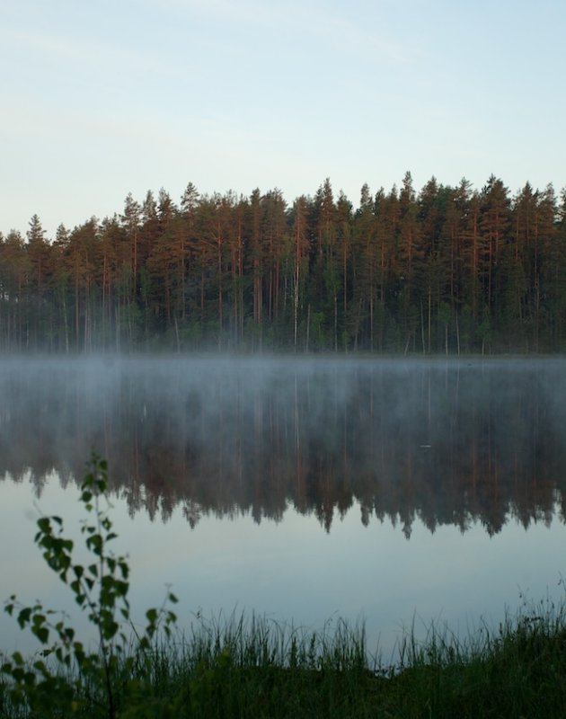 s morgens bij een meer/Sunrise near a lake