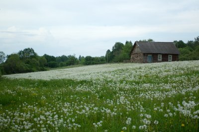 Onderweg/along the road