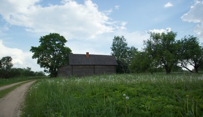 Onderweg/along the road