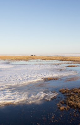 Toendra/Tundra