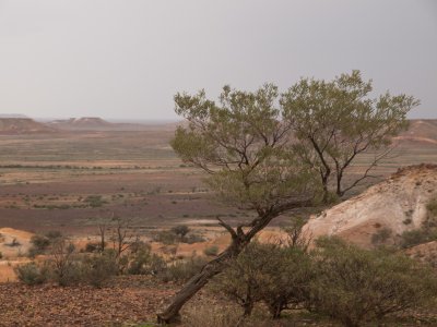 through_the_center_of_australia