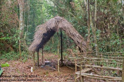 Basecamp at Mahoi Bridge, Gola Rainforest National Park (Sierra Leone)