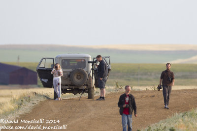 Birding the steppes west of Orsk (Orenburg Oblast)