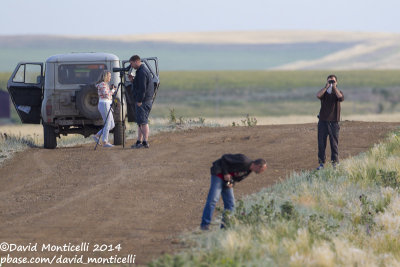 Birding the steppes west of Orsk (Orenburg Oblast)