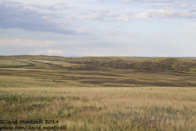 Steppe landscape west of Orsk (Orenburg Oblast)