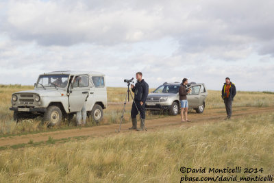 Birding the steppes west of Orsk (Orenburg Oblast)