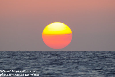 Sunset off Lanzarote (Canary Is.)