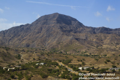 Serra de Pico de Antonia (Santiago Is.)