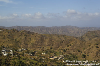 Serra de Pico de Antonia (Santiago Is.)