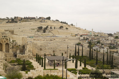 View of the Ophel Archaeological Park (Old City of Jerusalem)