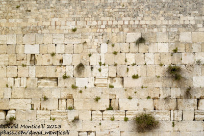 The Western Wall (Old City of Jerusalem)
