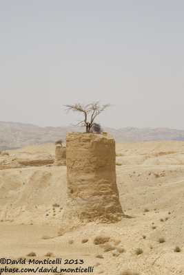 Desert lanscape close to Eilat