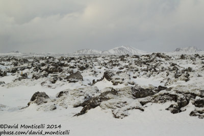 Black lava landscape after heavy snowfall_Hafnir (Iceland)