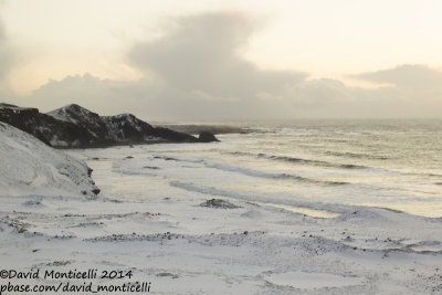 Seashore view_Grindavik (Iceland)