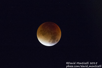 Lunar Eclipse_Westende (Belgium)