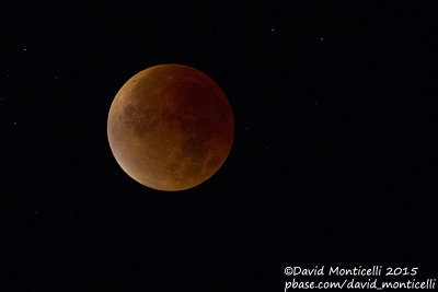Lunar Eclipse_Westende (Belgium)