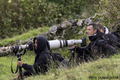Azores (Corvo) - Birders in action!