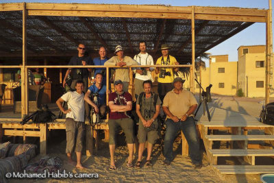 Egypt - Expedition looking for Saunder's Terns (with Fred, Rapha, Julien, Markku, Miko, Pierre, Vincent, Rich, myself, Mohammed)