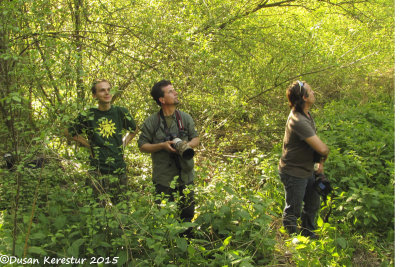 Slovakia - Jozef, Marek and myslelf observing a White-tailed Eagle at the nest