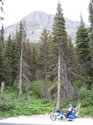 Diane in Glacier Park