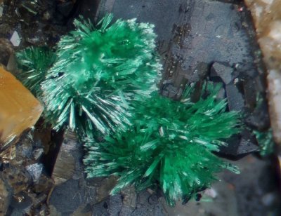 Malachite crystals, Ashgill Field Mines, Crossgill, Alston Moor, Cumbria, 3 cm specimen