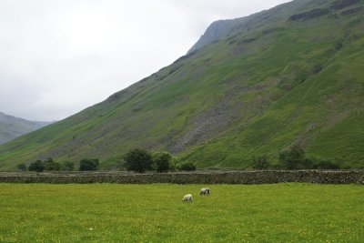 Scafell, green and peaceful on the valley floor