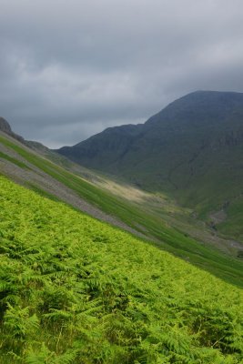 Scafell, ferns and valley