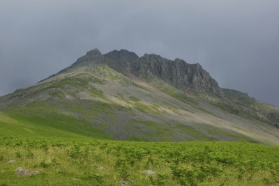 Scafell. crags and ferns
