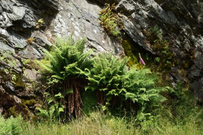 Small quarry near the old smelting works for the Stonycroft Mine.