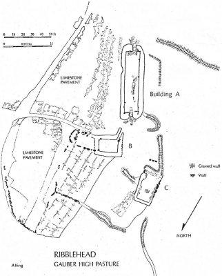 Ribblehead Gauber High Pasture site map by Alan King.