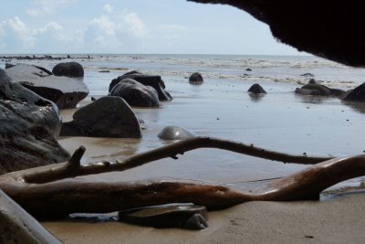 Trini rain on the beach