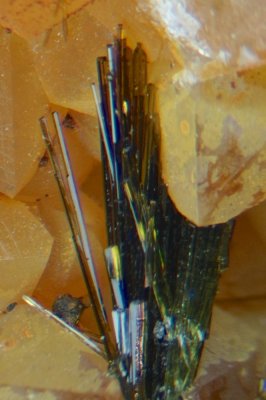 Olivenite crystals to 5 mm on 3 cm quartz matrix. Wheal Gorland, Cornwall.