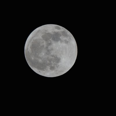 Moon pre eclipse.jpg