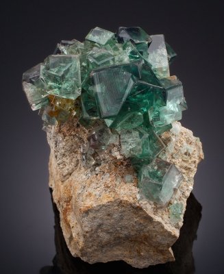Transparent green fluorite crystals to 22 mm on edge in 10 cm group. Middlehope Shields Mine, Westgate, Weardale, County Durham.