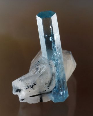 Beryl var aquamarine, 25 mm on quartz with tourmaline. Erongo Mountain, Erongo Region, Namibia.