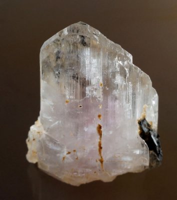 Albite twinned gem 16 mm crystal with riebeckite, Ghandarab Valley, Mohmand Agency, Pakistan.