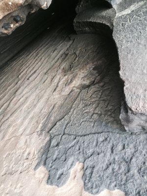 Kokohead petroglyphs