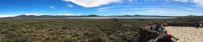 Laguna Blanca, Neuqun, home to flamingos and black-necked swans