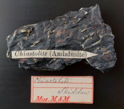 Label for Skiddaw chiastolite specimen of Charles Ottley Groom-Napier (1839-1894)