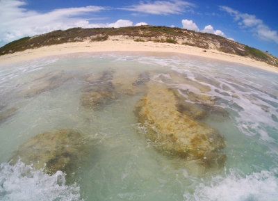 Stromatolites Stocking Island