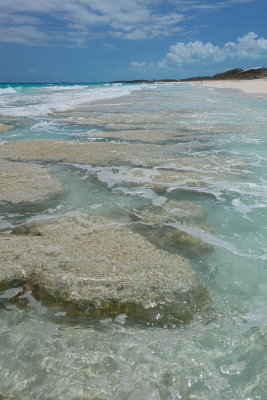 Stromatolites Stocking Island