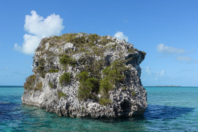 Osprey rock