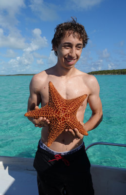 Starfish